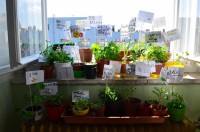 /album/duben-jaro-ve-tride/jaro-ve-tride-4-jpg/